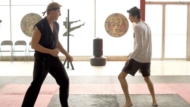 Illustration for article titled Avión Caravionzalez - Episodio III. "Cobra Kai"